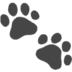 :paw_prints: :paw_prints: