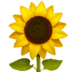 :sunflower: :sunflower: